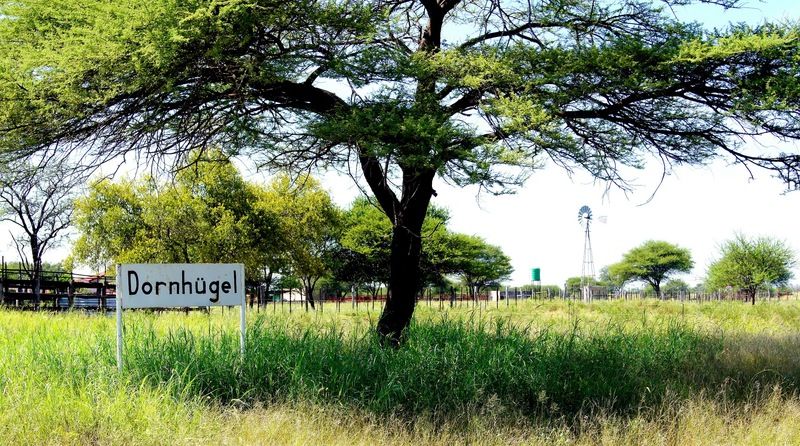 Dornhuegel Guestfarm Hotell Grootfontein Eksteriør bilde