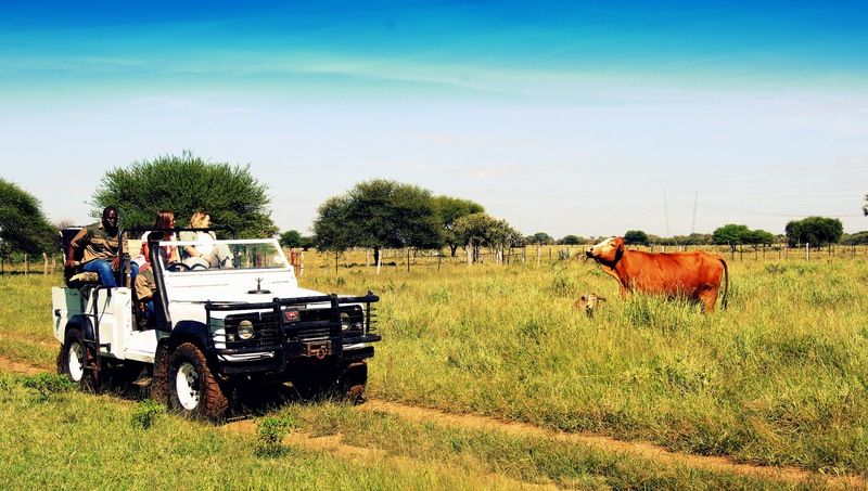 Dornhuegel Guestfarm Hotell Grootfontein Eksteriør bilde
