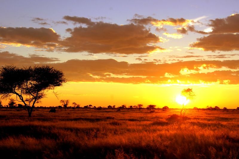 Dornhuegel Guestfarm Hotell Grootfontein Eksteriør bilde